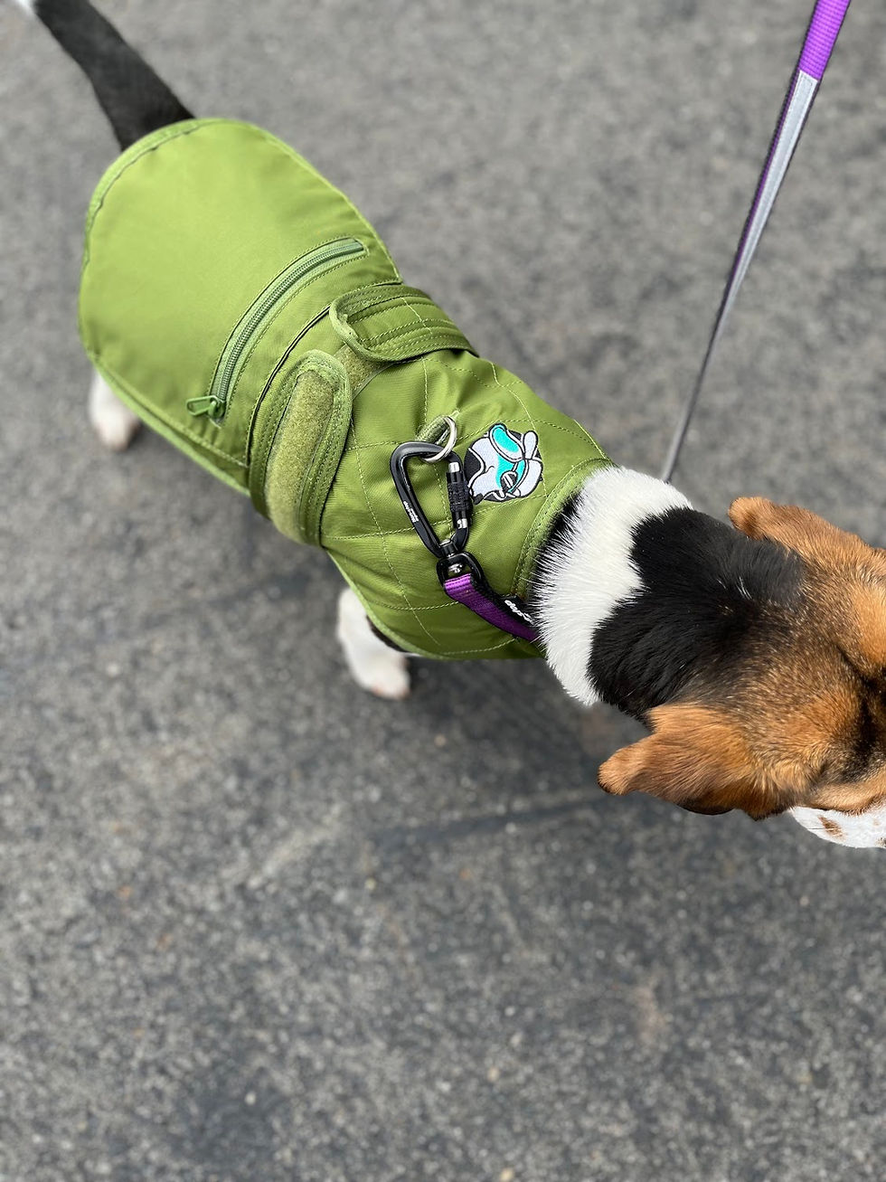 サムネイル： Modern Dog NJ Apollo Vest