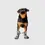 Thumbnail: Canada Pooch Soft-shield Boots  (CAMO-4 PACK)