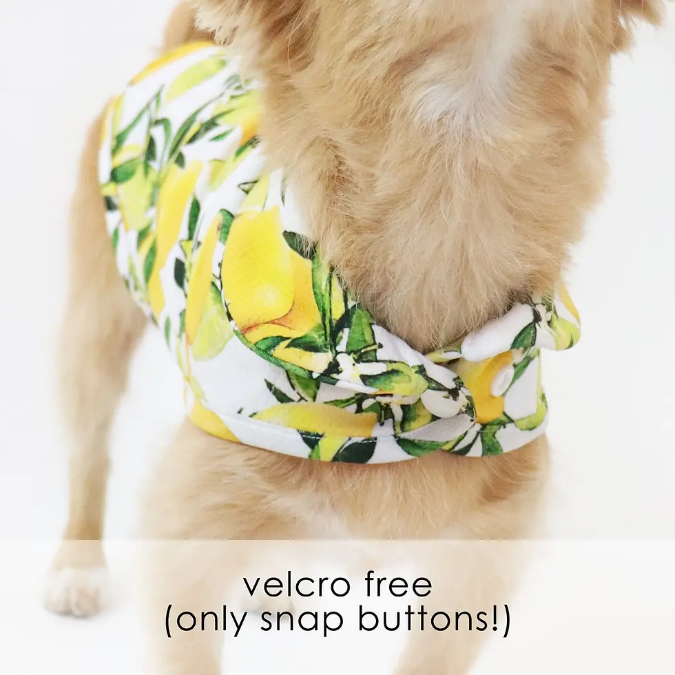 Thumbnail: Le Chien Bleu Nice Cooling Jacket