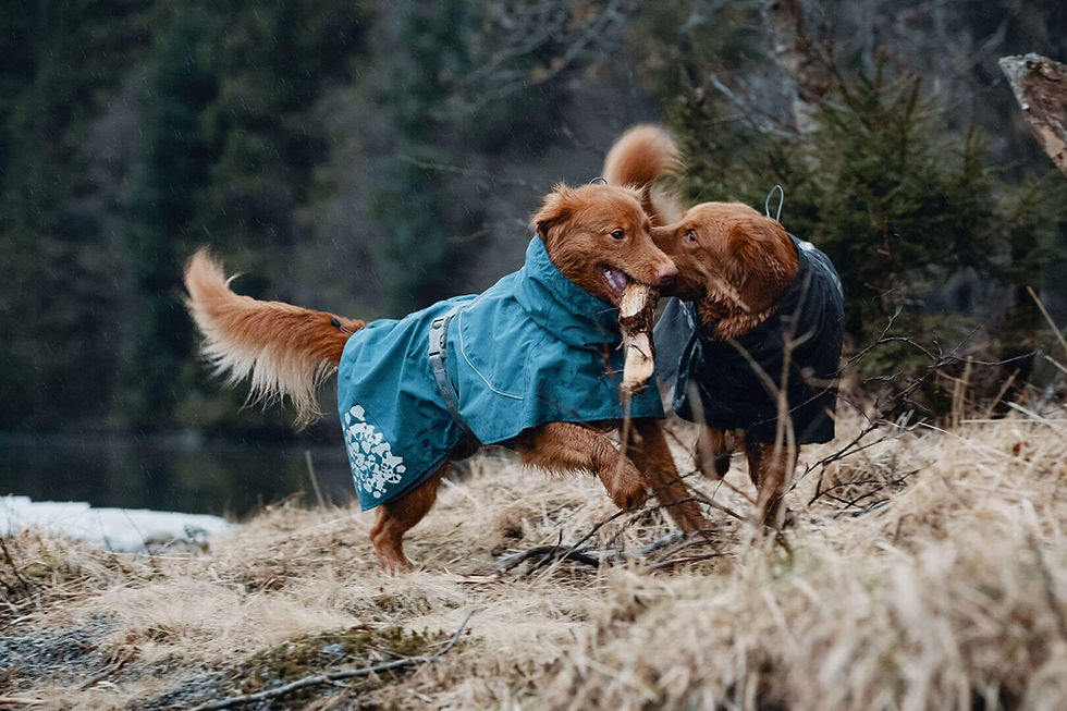 Thumbnail: Hurtta Monsoon Coat