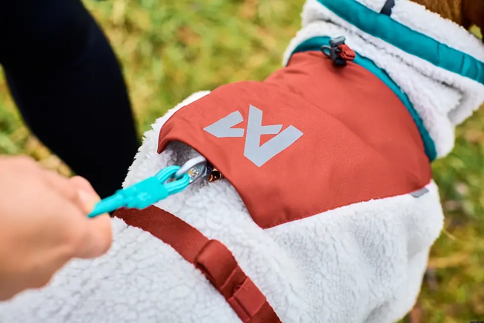 Miniatura: NONSTOP TREKKING FLEECE JACKET