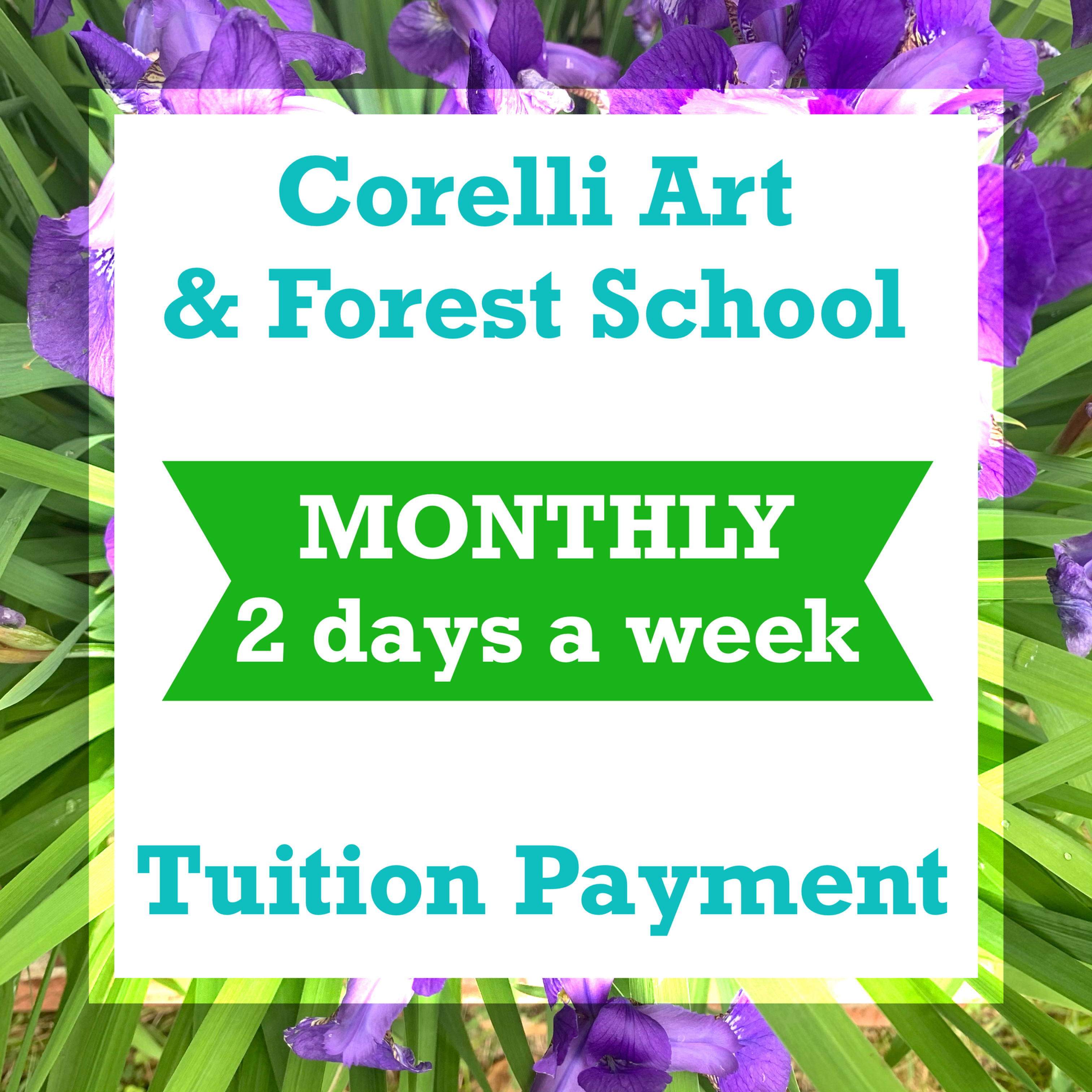 CAFS - Monthly Rates - 2 Days a week