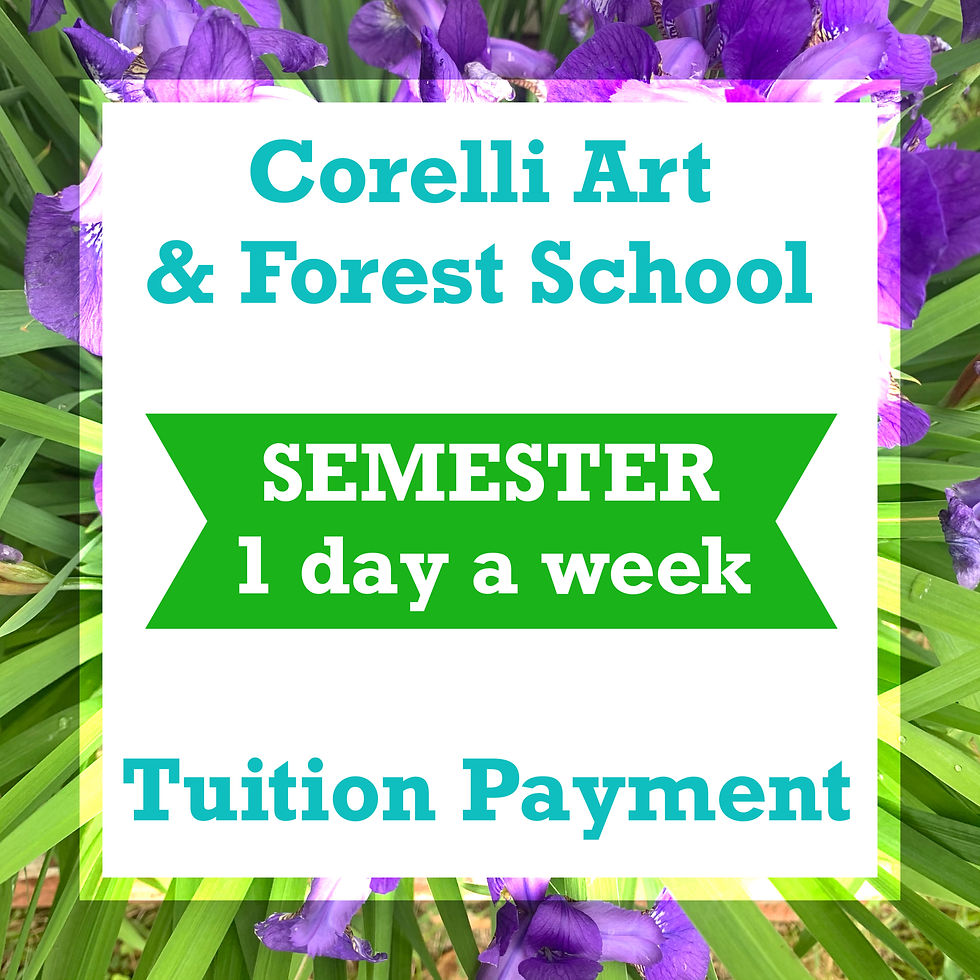 CAFS - Semester Rates - 1 Day a week