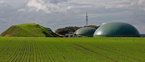 biomass-plant-in-landscape-1161523655_46
