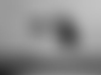 Spring Immersion YTT