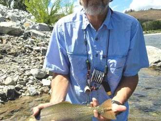 Summer Fishing report.