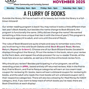 A Flurry of Books - This year's winter reading program (Book Blizzard) has begun!