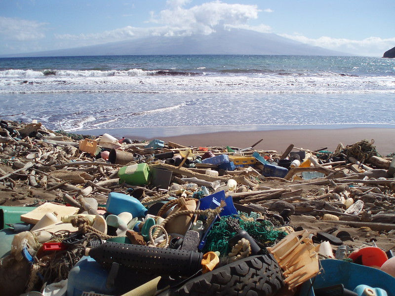 Marine debris laden beach in Hawaii - Credit Flickr, https://marinedebris.noaa.gov/