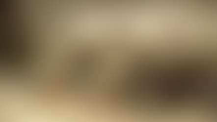 Did you know: The Sumatran Rhino - Ancient Species on the Brink of Extinction