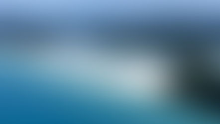 Coastal Guardians: How Mangroves, Seagrass and Saltmarsh Protect Our Shores from Storms and Rising Seas