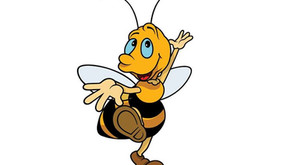 Did you know: The Dance of the Honey Bee 🎥