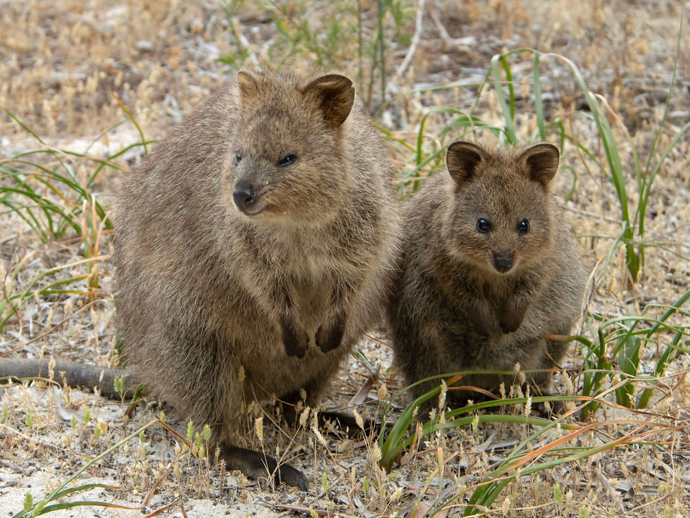 Photo by Hongbin on Unsplash