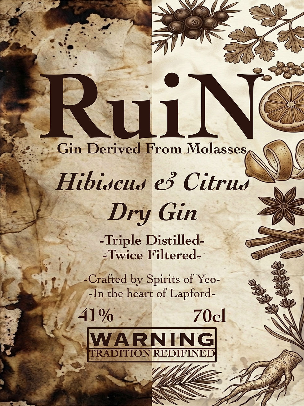 Thumbnail: RuiN Gin - 700ml - 41%