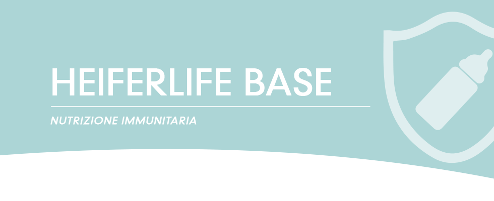 HEIFER LIFE BASE980x400.png