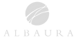 logo-Pieno-Bianco-grigio-footer.png