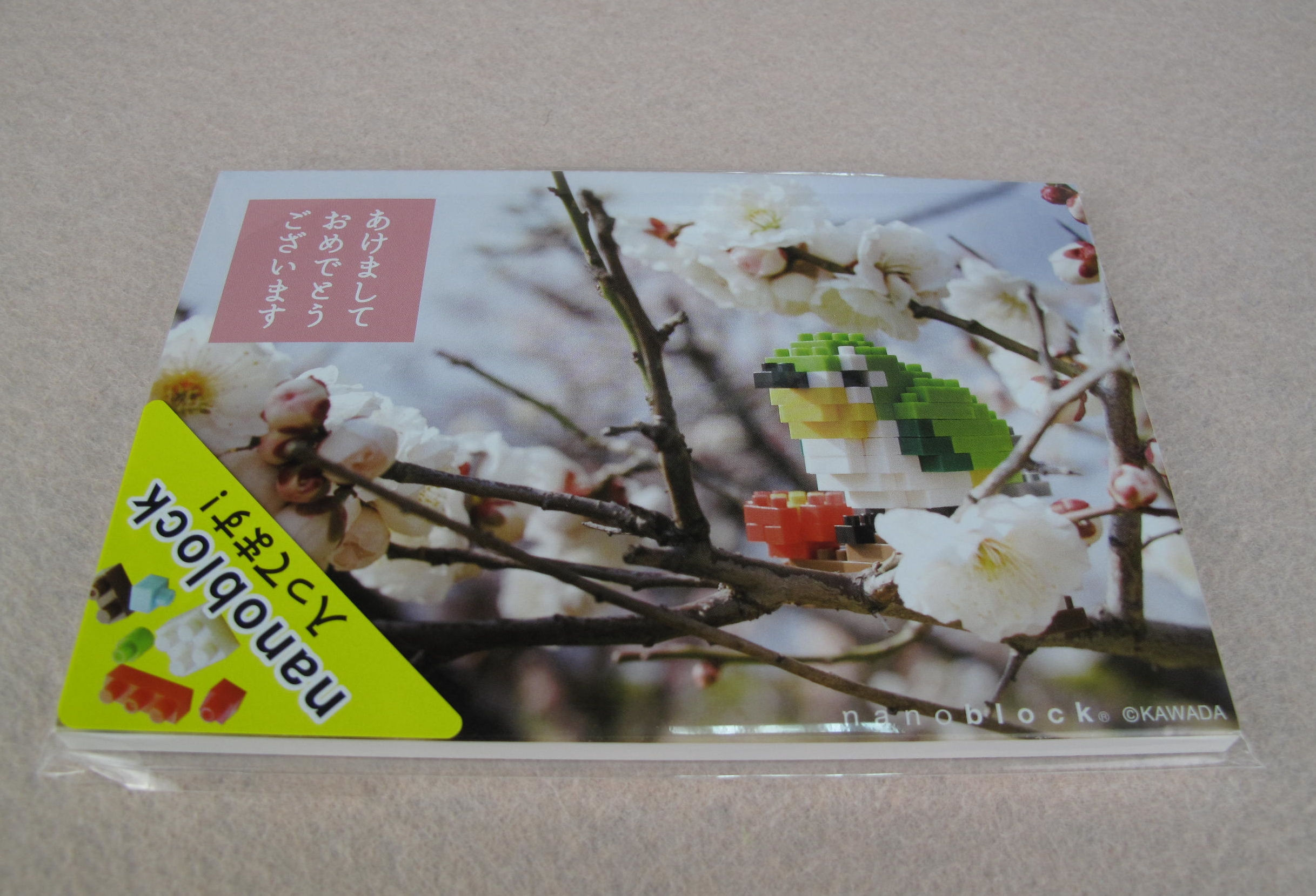 NP067 Postcard Happy New Year Nightingale