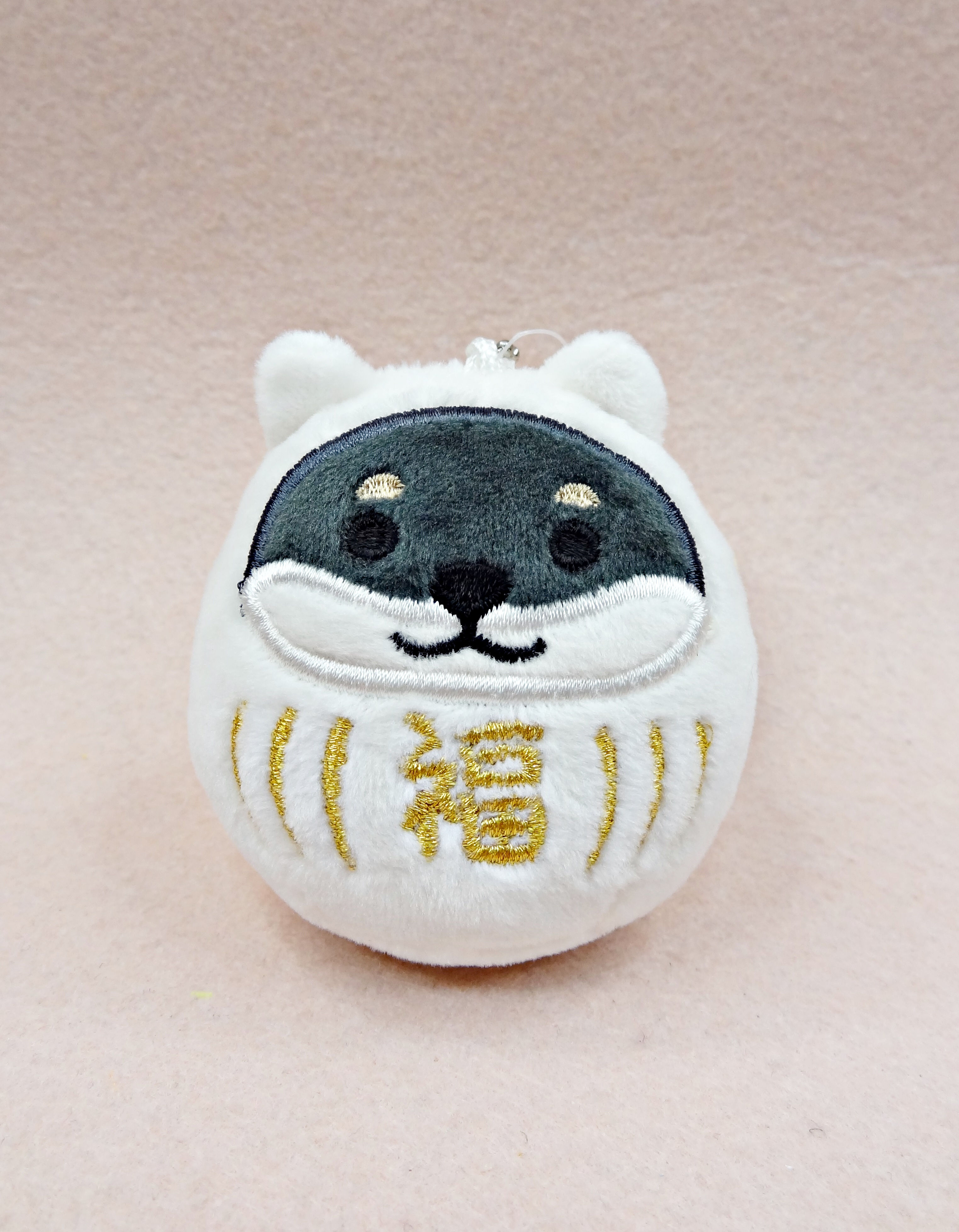 D02881_2 達摩柴_黑_細