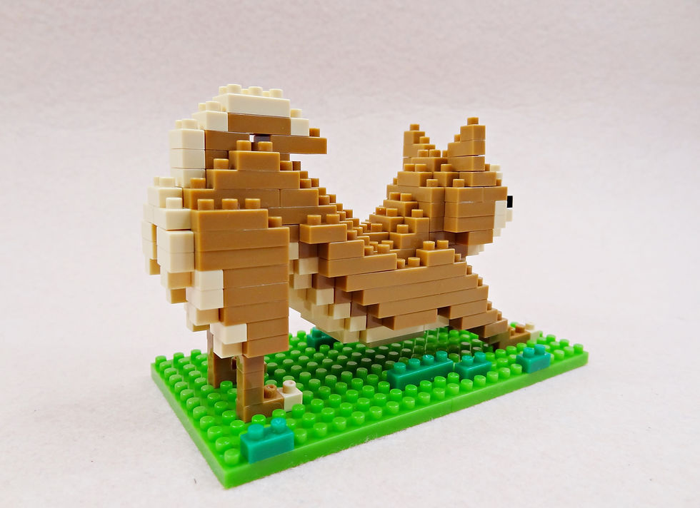 Thumbnail: HHS-001 Shiba Inu designed by Christopher Tan