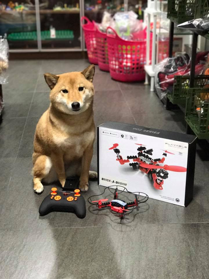 Thumbnail: Brick-A-Drone 自組積木航拍機