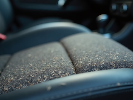 Dog Hair Removal Tips: Removing Dog Hair from Car Seats Made Easy