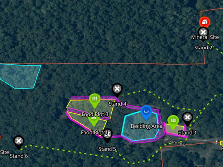Whitetail Habitat Improvement: Enhance Your Deer Property with Promise Land