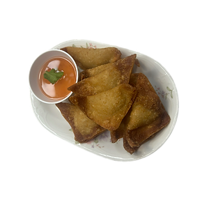 (A9) Fried Wontons