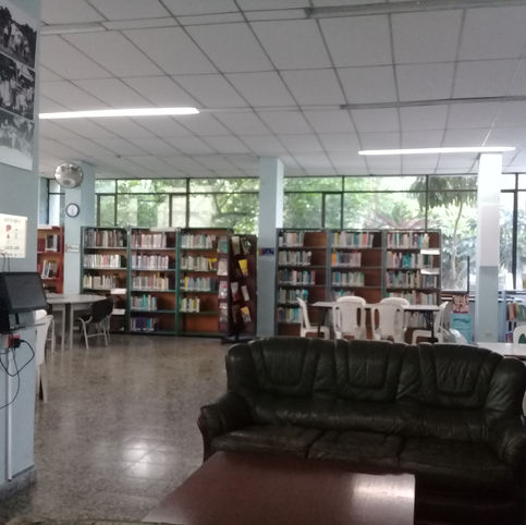Bibliotecas públicas en Ibagué: entre la inclusión social y el olvido estatal.