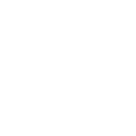 Mobile video casting and screen mirroring via private CDN streaming infrastructure