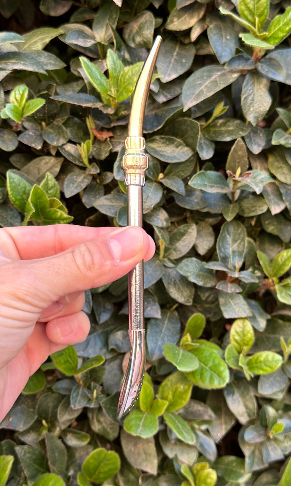 Thumbnail: Bombilla Argentina Bañada en Alpaca