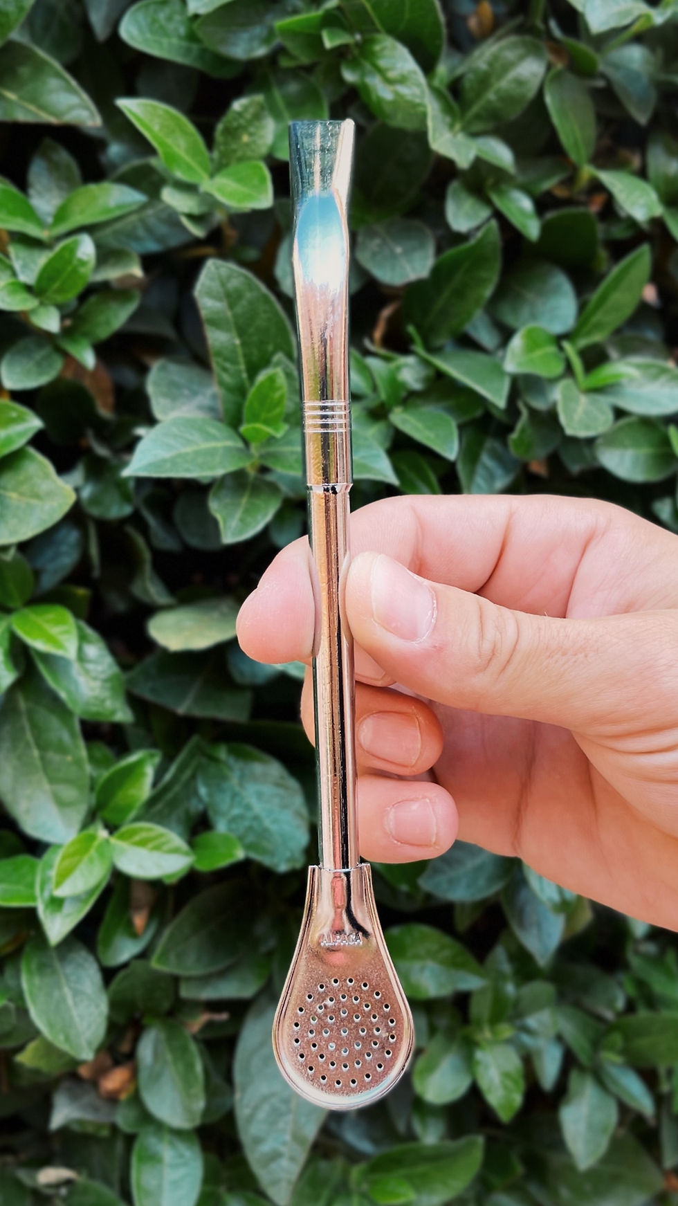 Miniatura: Bombilla alpaca lisa