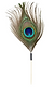 Pea-06.png