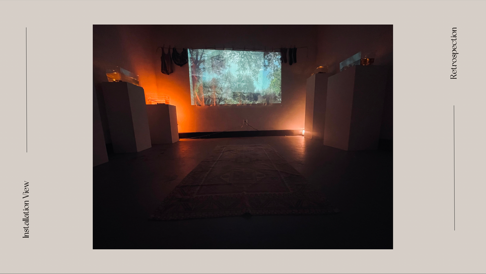 Installation Shot