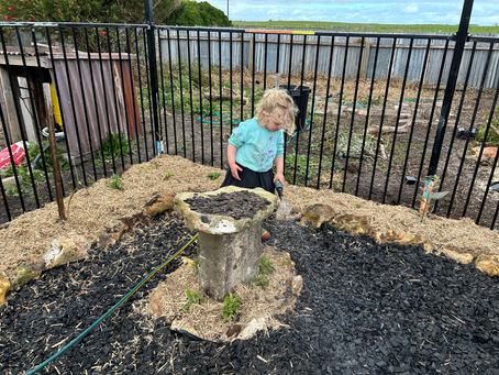 Thermomix, Family Day Care and Gardening