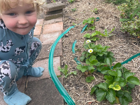 Sustainability in a Family Day Care Setting