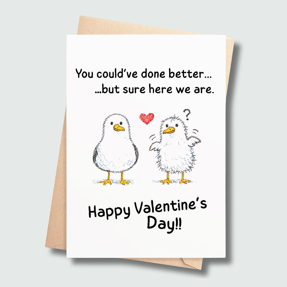 Funny Irish Valentine card with cheeky seagull illustration