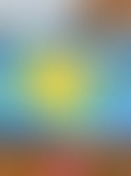 Starry Night Blooms: Painting Peace under Midnight Skies