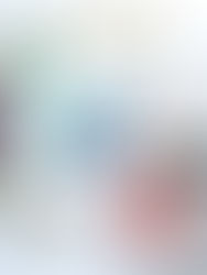 Magic black bird ✨🐦