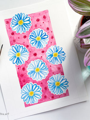 Colorful Daisies in full bloom! ☀️