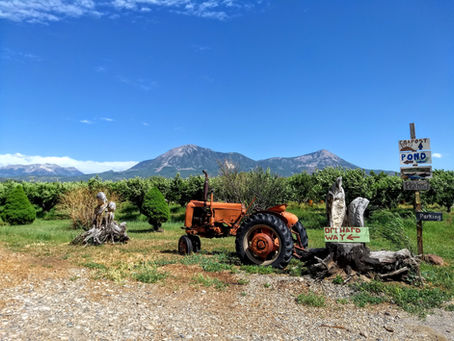 Escape to the Orchard (Hotchkiss, CO)