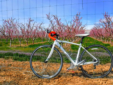 Bike the Colorado Riverfront Trail