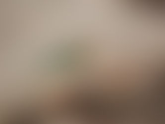 I Spy: Desert Edition