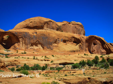 Spring is calling, escape to the desert!