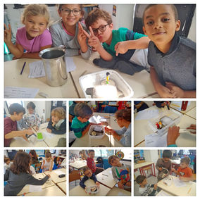 Les projets des "multis" 2