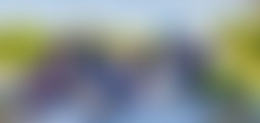 Pèlerinage diocésain à Lourdes des 4e-3e