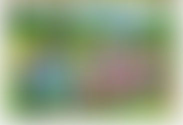 Sortie des moyens/grands 