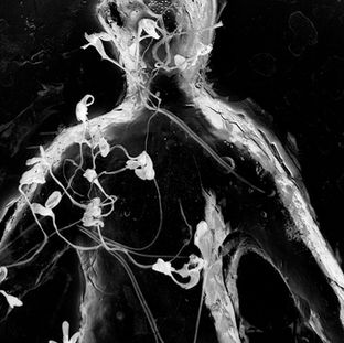Anders Gramer, Photography, Hardess Studios