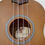 Thumbnail: Little Grass Shack Children's Ukulele
