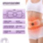 Miniatura: Electric Warming Belt Wellness Heating Pad