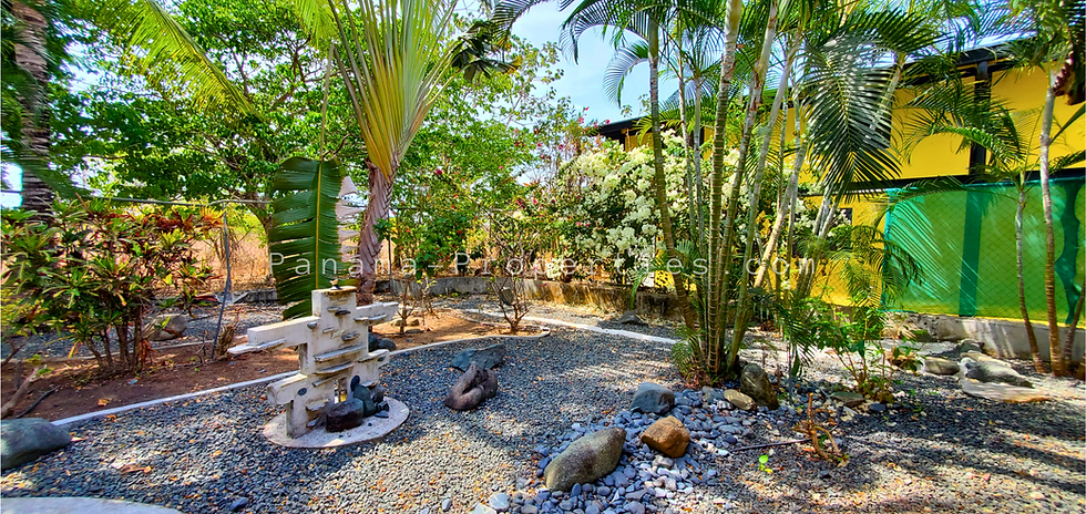 backyard1.png