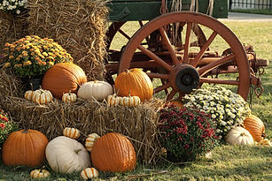 Colorful Autumn Pumpkin Display.jpg